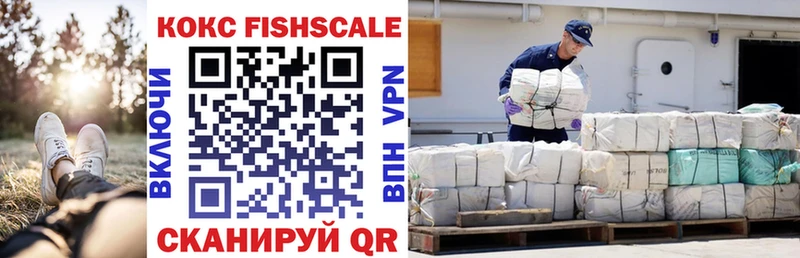 Cocaine Fish Scale  Купить закладки  Клинцы 