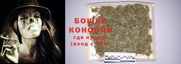 стафф Зеленокумск