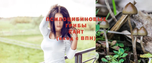 MESCALINE Заволжье