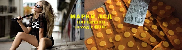 стафф Зеленокумск
