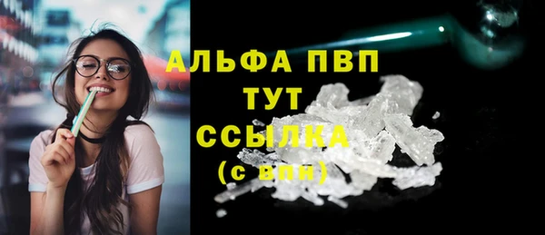 стафф Зеленокумск
