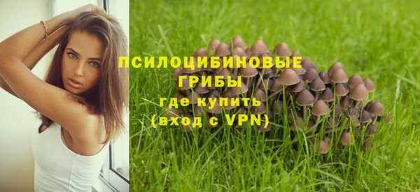 стафф Зеленокумск
